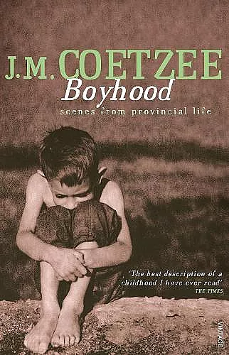 Boyhood cover