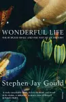 Wonderful Life cover