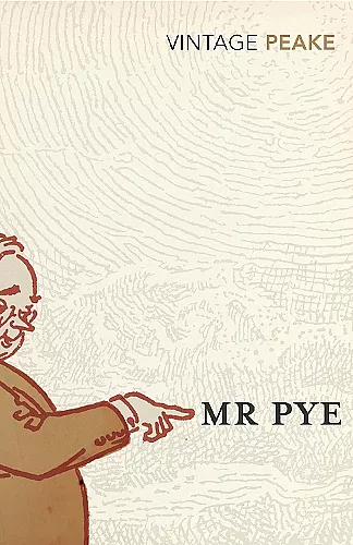 Mr Pye cover