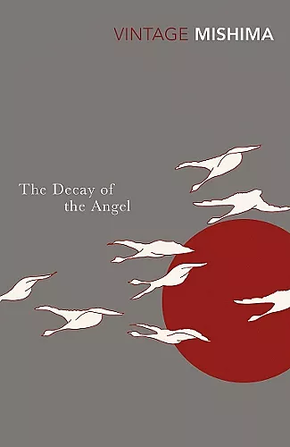The Decay of the Angel cover
