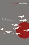 The Decay of the Angel cover