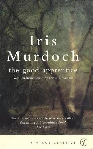 The Good Apprentice cover
