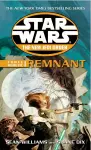 Star Wars: The New Jedi Order - Force Heretic I Remnant cover