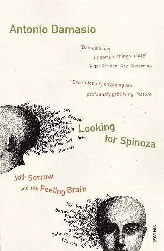 Looking For Spinoza cover