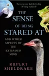 The Sense Of Being Stared At cover
