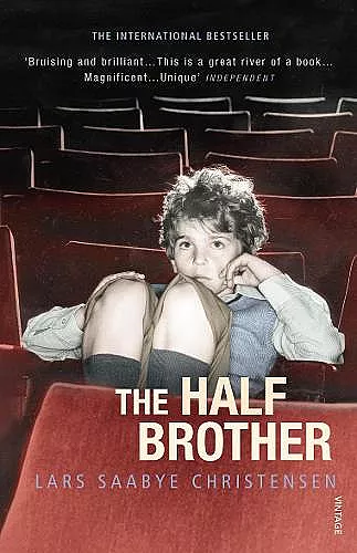 The Half Brother cover