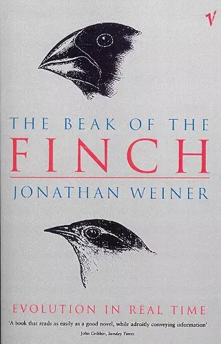 The Beak Of The Finch cover