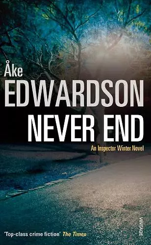 Never End cover