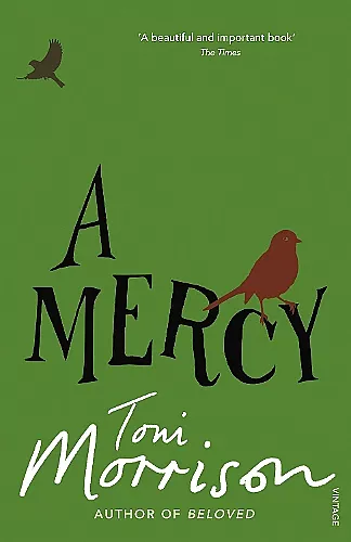 A Mercy cover