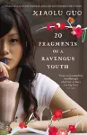 20 Fragments of a Ravenous Youth cover