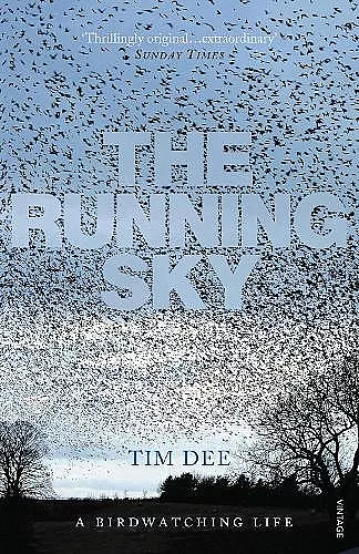 The Running Sky cover