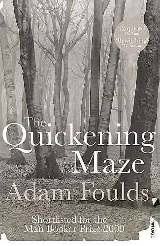 The Quickening Maze cover