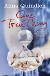 One True Thing cover