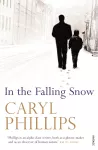 In the Falling Snow cover