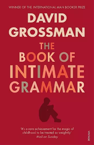 The Book Of Intimate Grammar cover