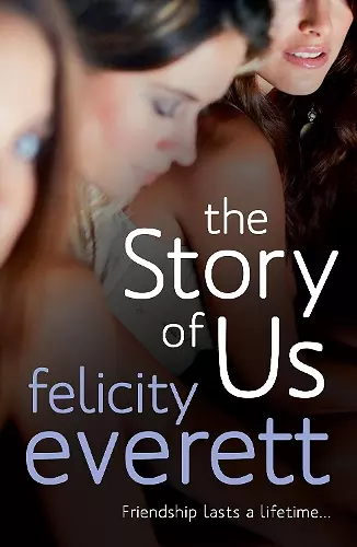 The Story of Us cover