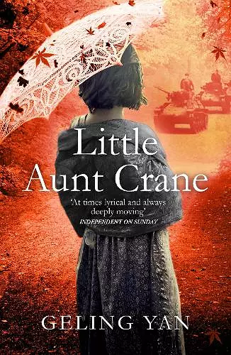Little Aunt Crane cover