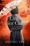 Little Aunt Crane cover