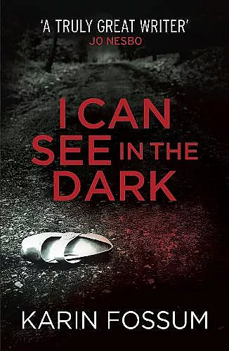 I Can See in the Dark cover
