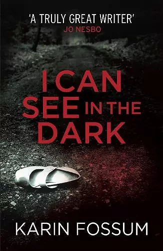 I Can See in the Dark cover