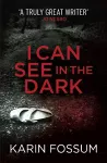 I Can See in the Dark cover