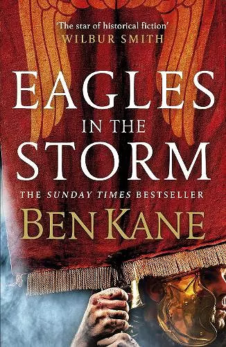 Eagles in the Storm cover