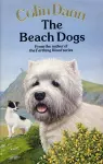 The Beach Dogs cover