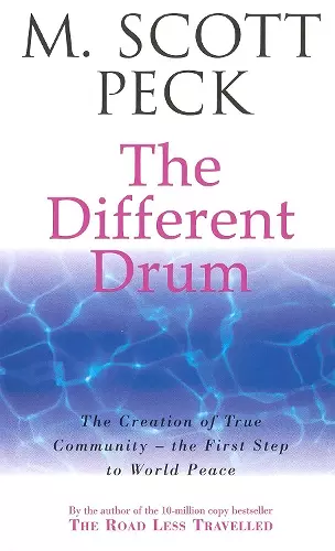 The Different Drum cover