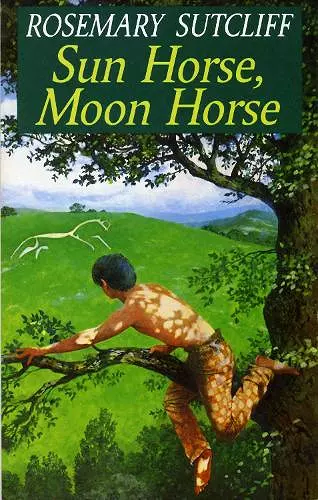 Sun Horse, Moon Horse cover