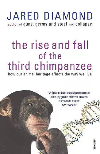 The Rise And Fall Of The Third Chimpanzee cover