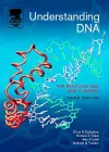 Understanding DNA cover