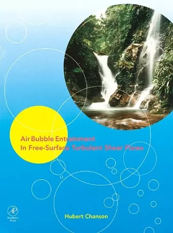 Air Bubble Entrainment in Free-Surface Turbulent Shear Flows cover