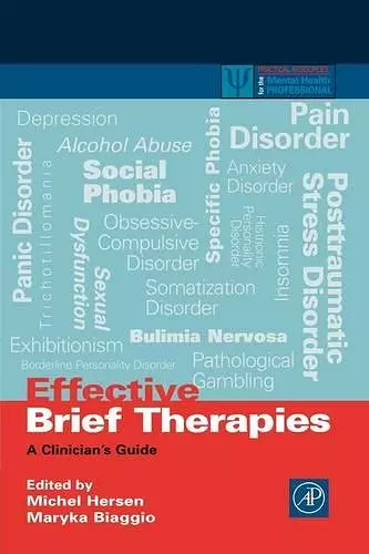 Effective Brief Therapies cover