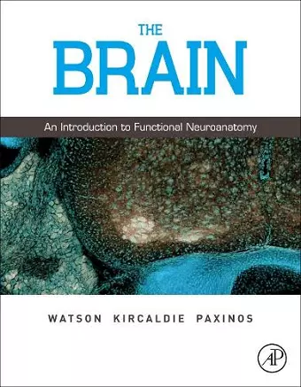 The Brain cover