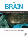 The Brain cover