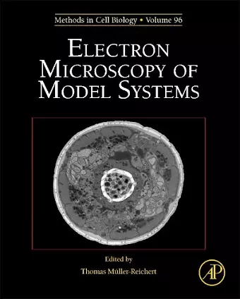 Electron Microscopy of Model Systems cover