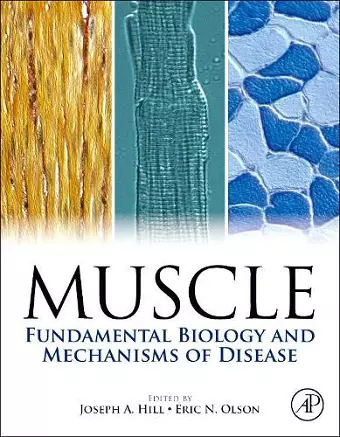 Muscle 2-Volume Set cover