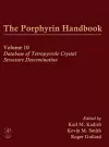 The Porphyrin Handbook, Volume 10 cover