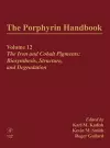 The Porphyrin Handbook cover