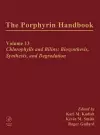 The Porphyrin Handbook cover