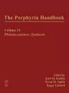 The Porphyrin Handbook cover