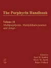 The Porphyrin Handbook cover