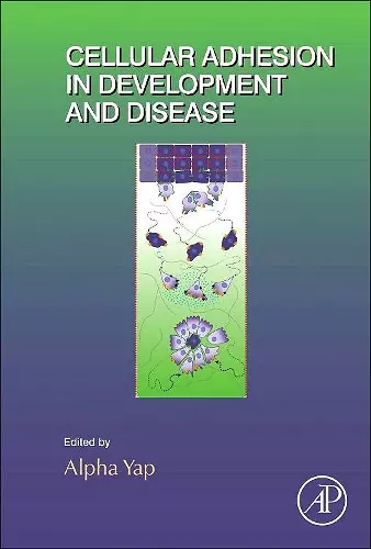 Cellular Adhesion in Development and Disease cover