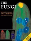 The Fungi cover