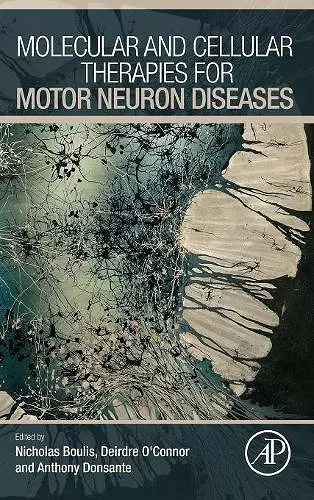 Molecular and Cellular Therapies for Motor Neuron Diseases cover