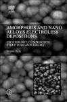 Amorphous and Nano Alloys Electroless Depositions cover