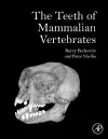 The Teeth of Mammalian Vertebrates cover