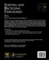Sorting and Recycling Endosomes cover