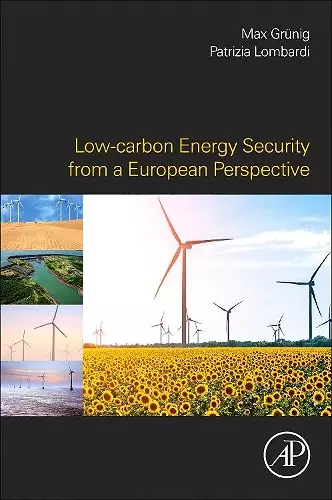 Low-carbon Energy Security from a European Perspective cover