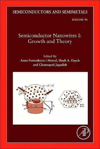 Semiconductor Nanowires I: Growth and Theory cover